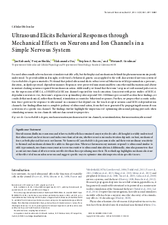 Research paper published in the Journal of Neuroscience