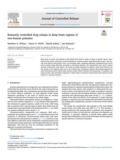 Article on drug release from nanoparticle carriers published