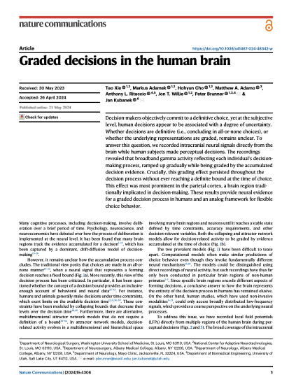 Graded decisions in the human brain.