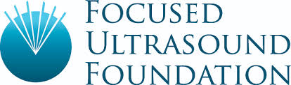 Charles Steger Global Internship Program in Focused Ultrasound
